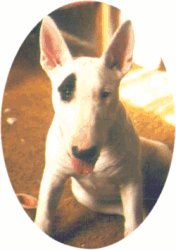 Jack