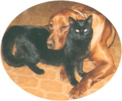 Sam and Murphy